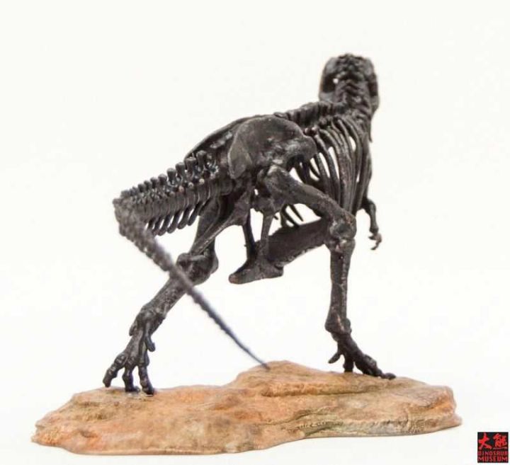 dinosaur-skeleton-tyrannosaurus-rex-skeleton-jurassic-dinosaur-skeleton-model-gift-box-packaging-ornament-collection