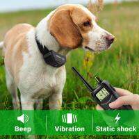 Petrainer 900B-3 Waterproof and rechargeable 1000m remote dog training collar shock for 3 dogs Newest design For 3 dogs