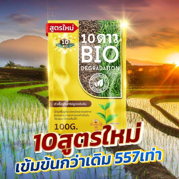 ส่งฟรี-ส่วนลดเพิ่ม-10ดาวไบโอ-ซื้อ6แถม1-จุลินทรีย์-สูตรใหม่-10-dao-bio-ช่วยย่อยสลายฟาง-สสายหญ้า-ตอซังข้าว-กองใบไม้-หัวเชื้อจุลินทรีย์