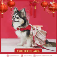 Glitter Pooch Harness ชุดรัดอก สายจูง เสื้อผ้า สุนัข, หมา, แมว, สัตว์เลี้ยง พร้อม สายจูง รุ่น New Eastern Girl