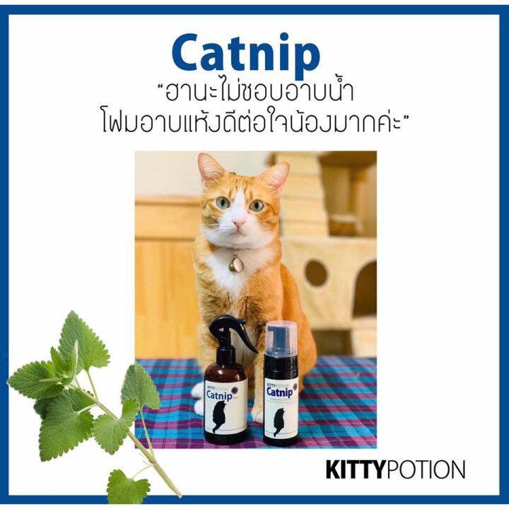 kitty-potion-catnip-spray-สเปรย์ทำความสะอาด-สำหรับแมว-สูตรออร์แกนิค-250ml