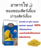 อาหารไข่ สูตรผสมน้ำผึ้ง สำหรับนก หนูแฮมสเตอร์ (แบ่งขาย 500g. 1000g.)