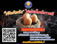 ไข่อบสไตล์เกาหลี ไข่จิมจิลบัง แคลน้อยกว่าไข่ต้มธรรมดา jimjilbang eggs 찜질방 계란 맥반석 계란