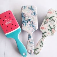 Cute Massage Comb Hair Brush Anti-static Detangle Comb Scalp New