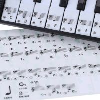 Transparent 49 61 Key Electronic Keyboard 88 Key Piano Stave Note Sticker for White Keys