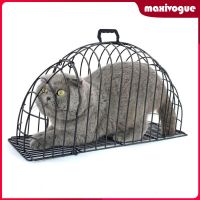[Maxivogue] กล่องเครื่องเป่าขน สําหรับสัตว์เลี้ยง สุนัข แมว