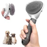 Pet Comb Stainless Steel Needle Comb Dog And Cat Hair Removal Floating Hair Cleaning Beauty Skin Care Pet Dog Cleaning Brush Brushes  Combs