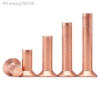 2-50pcs GB869 M2 M2.5 M3 M4 M5 M6 M8 Copper Countersunk Head Solid Rivets DIN661