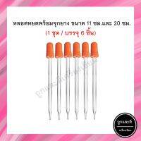 (6 ชิ้น/ชุด)หลอดหยดแก้วพร้อมจุกยาง 11 cm / 20 cm (Dropper With Rubber Test 11 cm/20 cm, 6 pcs/set)