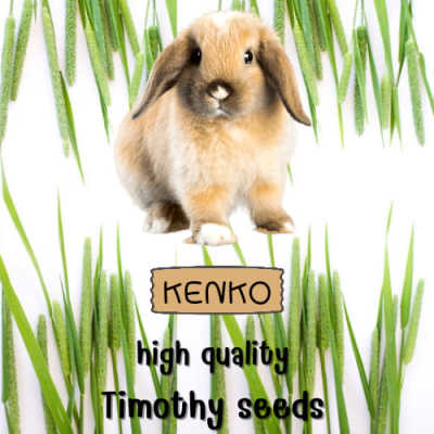 เมล็ดหญ้าทิโมธี Timothy คัดพิเศษ 100 กรัม อาหาร เต่า กระต่าย หนู