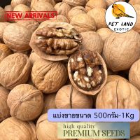 Walnut ถั่ววอลนัทเกรด A นำเข้าจากอเมริกา สำหรับนก และสัตว์ฟันแทะ แบ่งขาย 500g/ 1kg