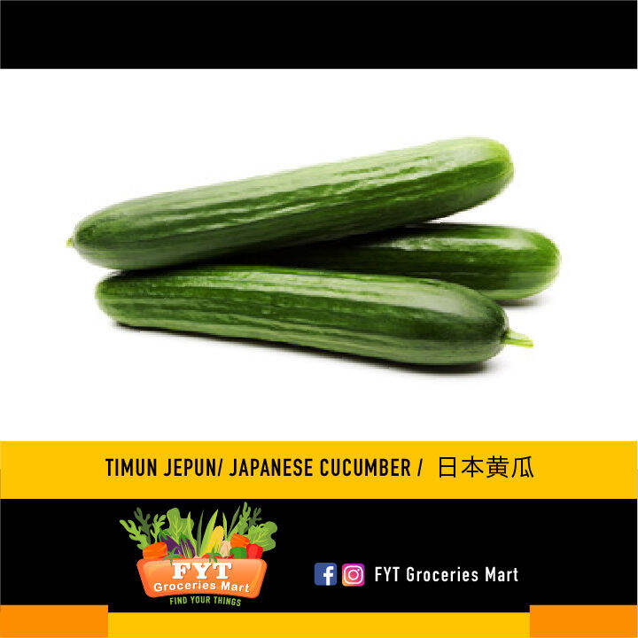 FYT GROCERIES - VEGETABLES - TIMUN JAPAN/ JAPANESE CUCUMBER/ 日本黄瓜 (500g ...
