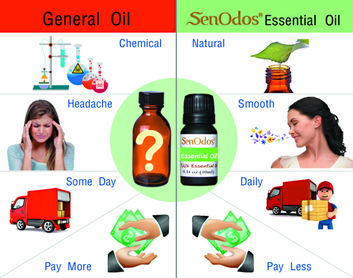 senodos-น้ำมันหอมระเหยแท้-กลิ่นหอมอโรม่า-กลิ่นซินนามอน-อบเชย-aroma-cinnamon-essential-oil-10ml