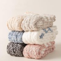 2Pairs Long Coral Velvet Floor Socks Wool Warm Socks Women 39;s Socks Winter Thickened Plush Sleep Socks Towel Calf Socks