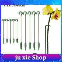 JuXie store 5/10x 37cm 48cm Plastic Plant Supports Holder Bracket Flower Stand climbing Fixed Protection Tool Garden Supplies For orchid