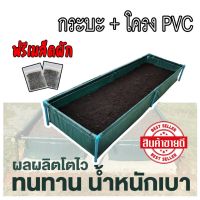 โปรแรง กะบะปลูกผักสำเร็จรูป พร้อมโครง PVC 1 นิ้ว  ขนาด 60x200x30 cm เก็บเงินปลายทาง