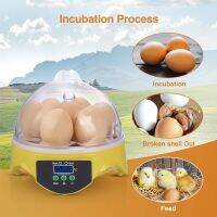 HHD 7 Eggs Machine 110V/220V Automatic Digital Mini Incubator Egg Incubator Adjustable Temperature Hatchery Brooder for Chickens