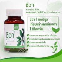 ชีวา แคปซูล 40 แคปซูล อาหารเสริม เบาหวาน CHEWA CAPSULES 1กระปุก ผักเชียงดาสกัด แบบอัดเม็ด