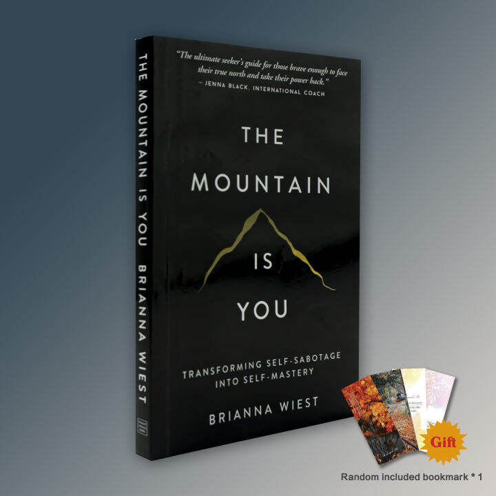 The Mountain Is You: Transforming Self-Sabotage Book Self-Mastery ...