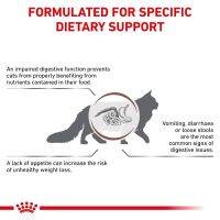 ส่งฟรีทุกรายการ อาหารสัตว์✹Royal Canin Feline Gastrointestinal อาหารแมวประกอบการรักษาโรคระบบทางเดินอาหาร 400g