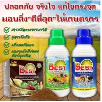 BEST เบสนาโนไคโตซาน พืชและสัตว์  อินทรีย์อมิโน ส่งฟรี เป็นมิตรต่อสิ่งแวดล้อม เพิ่มผลผลิต