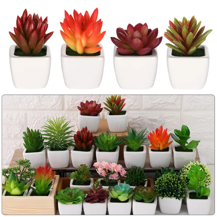 indoor miniature garden plants
