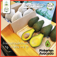 อโวคาโด พันธ์ พิงค์เคอร์ตัน ? ราคาต่อ kg. Pinkerton อะโวคาโด โครงการหลวง เชียงใหม่ ผลไม้ avocado อาโวคาโด้ สุขภาพ