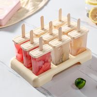 【CW】 4/9pcs Mold Popsicle Freezer Fruit Maker Dessert with Stick and Lid Reusable