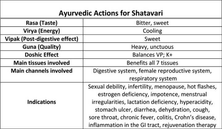 shatavari-powder-500-grams-pure-premium-quality