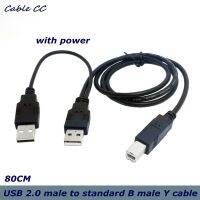 Dual USB 2.0 male to standard B male Y cable 80 cm with power supply for printers and scanners and external hard drives