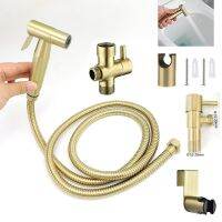 【LZ】┋  Aço inoxidável WC Bidé Pulverizador Torneira Mão Cabeça Spray Set Kit De Mangueira De Água Portátil Hanging Holder Ouro WC Douche