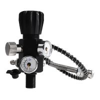 Double Gauge Cylinder Valve 400Bar 6000PSI Air Filling Station Refill Adapter Air Charging Valve with Hose