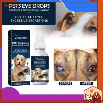 Antibacterial eye shop drops for dogs