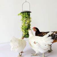 Creative Pigeon ตะกร้าโลหะตลก Pigeon Chick Parrot ผัก Feeder สำหรับให้อาหาร