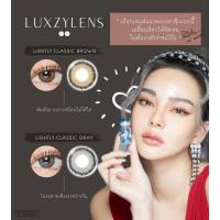(สายละมุน) Lightly Classic Luxzylens คอนแทคเลนส์เกาหลี คอนแทคเลนส์ บิ๊กอาย bigeyes contactlens คอนแทคสายตา คอนแทคเลนส์สี