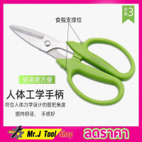 Stainless steel scissors กรรไกรตัดตกแต่งกิ่งไม้ กรรไกรตัดกิ่ง กรรไกรตัดหญ้า กรรไกรตัดกิ่งไม้ กรรไกรแต่งกิ่ง กรรไกรแต่งพุ่ม กรรไกรแต่งสวน