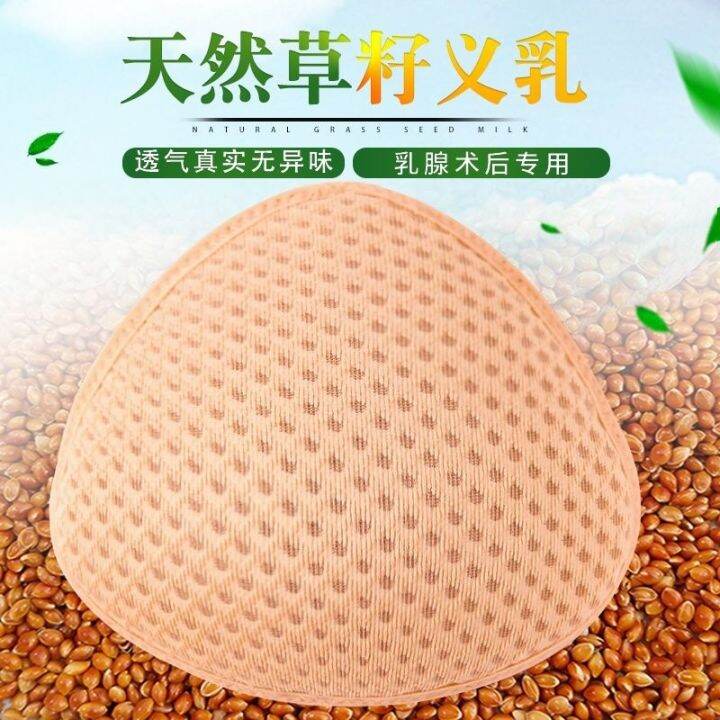 Grass Seed Prosthetic Mastectomy Prosthetic Breast Bra Bra Special Fake grass-seed-prosthetic-mastectomy-prosthetic-breast-bra-bra-special-fake