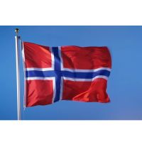 norway Flag 90*150cm Hanging Norwegian Flag Polyester standard Flag Banner  Power Points  Switches Savers