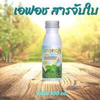 ??AFORCH (เอฟอช) สารจับใบ สารเร่งการดูดซึม ขนาด 100 ml. ของแท้ !! ??