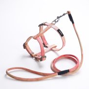 Cat Harness Leash Set Adjustable Nylon Pet Cat Collar For Small Dog Cat