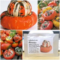 เมล็ดพันธุ์ ฟักทอง เติร์กเทอร์บาน (Turks Turban Squash Seed) 10 เมล็ด คุณภาพดี ราคาถูก ของแท้