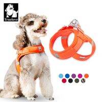 Truelove Designer Cat Dog Harness No Pull Training Nylon Mesh Pet Vest No Choke Adjustable For Small Dogs Sports Accessories Collars