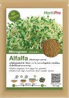 เมล็ดต้นอ่อน Mirogreen Alfalfa บรรจุ 10 กรัม