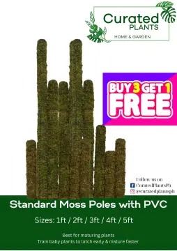 Shop Moss pole online