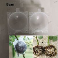 8cm 10pcs Fruit Plant Tree Rooting Ball Root Box Plastic Case Transparent Grafting Rooter Growing High-pressure Breeding YB8TH