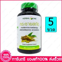 5 ขวด (Bottles) อ้วยอัน กระชายสกัด Herbal one Finger Root Extract 60 แคปซูล Capsules