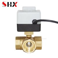 Brass Motorized Ball Valve 3-Wire Two Control Electric Actuator AC220V 3 Ways /2 Way DN15 DN20 DN25 DN32 DN40 with Manual Switch