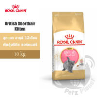 Royal Canin British Shorthair Kitten อาหารแมวโรยัล คานิน สูตรลูกแมวสายพันธุ์บริติชชอร์ตแฮร์ อายุ4-12เดือน ขนาด10กก.