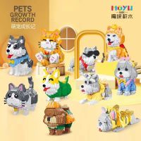 นาโน Size XL - Moyu MY 93001 - MY 93004 , 93007-93012 Pets Growth Record Dog &amp; Cat(ถ้าไม่ได้ระบุ ราคาต่อ1ชิ้นนะค๊ะ) ( สอบถามรายละเอียดทักแชทนะคะ )