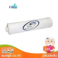 FILTEX ไส้กรองคาร์บอน รุ่น FT-106